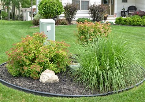 hide electrical box scrub|bushes to hide utility boxes.